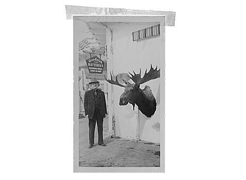 Second place, moose
